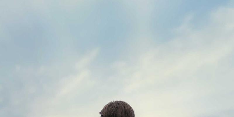 双A围栏100：艺术涂鸦围栏如何重塑现代围栏工程美学与功能