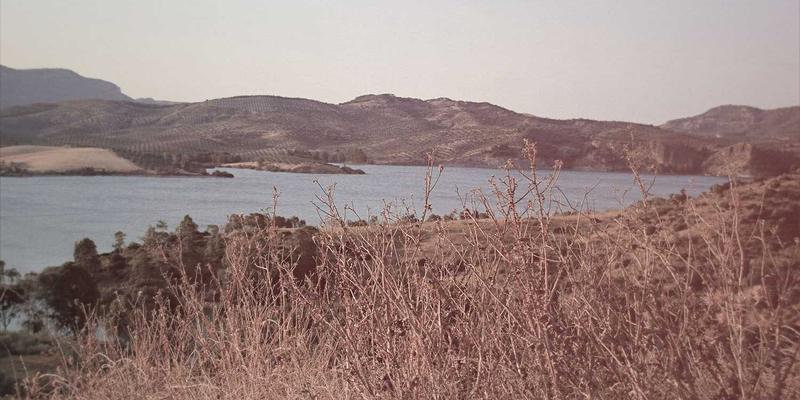 双A围栏42：当艺术涂鸦围栏遇上安全围栏的革新实践