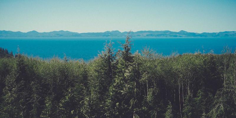 双A围栏52：当安全围栏邂逅艺术涂鸦，重新定义空间边界美学