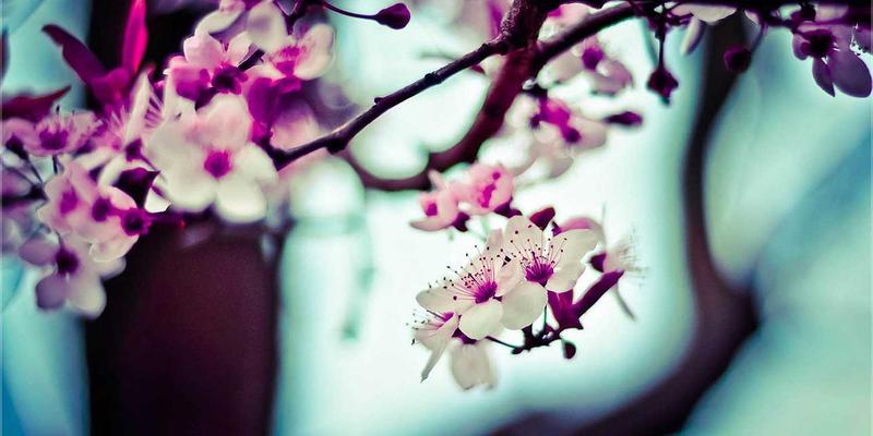 双A围栏73：当艺术涂鸦围栏重塑城市护栏美学