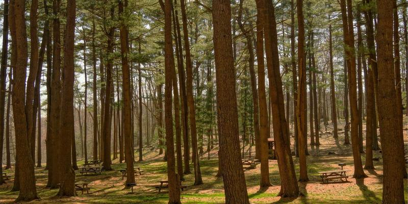 双A围栏专业使用指南：提升安防效率的五大关键步骤