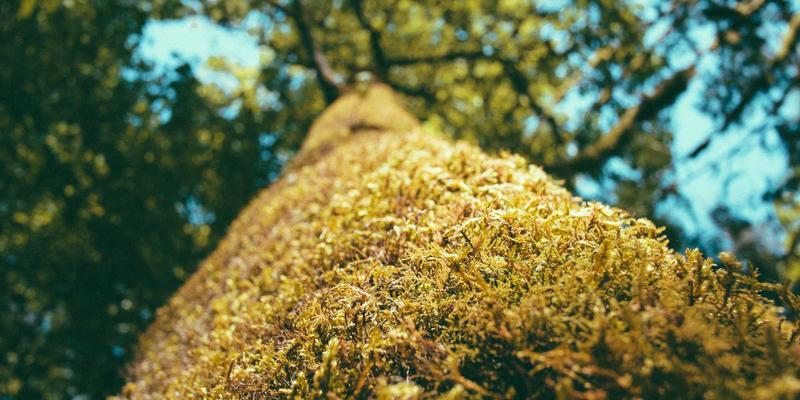 双A围栏：河道治理与水土保持工程的坚固防线与艺术表达