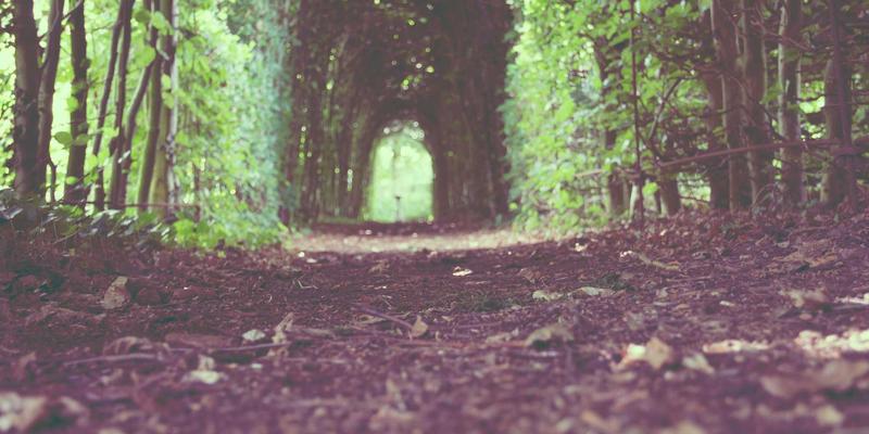 双A围栏深度解析：从基础安装到艺术涂鸦的全面对比指南