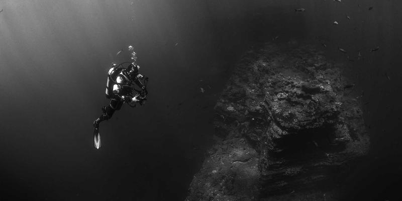 双A围栏：生态养殖的安防基石与动物福利提升的关键护栏