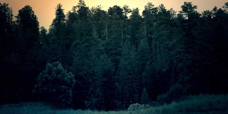 双A围栏防腐涂层技术解析：热浸镀锌与喷塑的长期成本与安全围栏安装考量