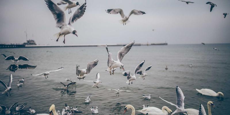 安全围栏与护栏安装：如何通过双A围栏系统降低财产保险费率与风险评估