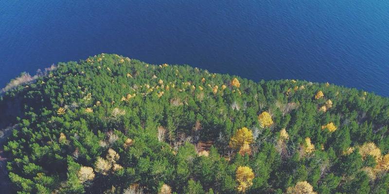 安全围栏全生命周期成本解析：为何双A围栏的长期耐用性胜过初期低价诱惑？