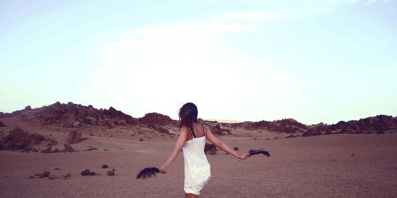 护栏投资新视角：从成本效益分析看双A围栏在规模化养殖中的长期回报