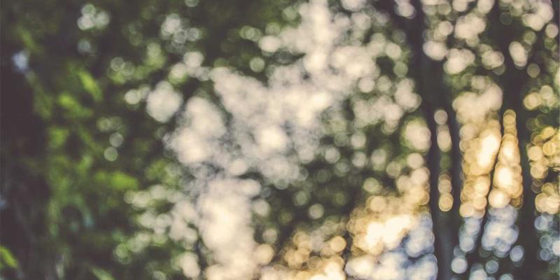 挑战极限环境：双A围栏在高寒与盐碱地带的专业安装与艺术涂鸦围栏工程方案