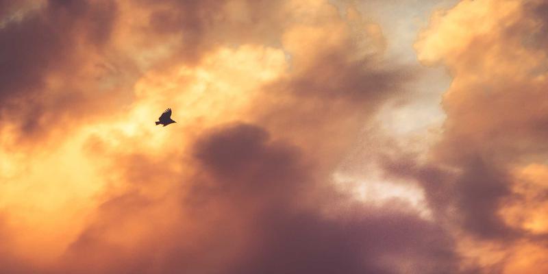 智能化双A围栏系统：集成传感器与自动报警的现代牧场安防解决方案